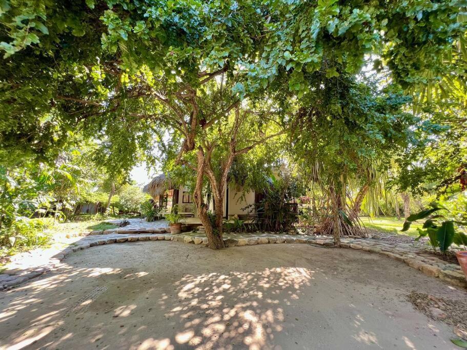 Casa Kuul, Elegant Fusion Of House And Garden. Villa Puerto Escondido  Exterior photo