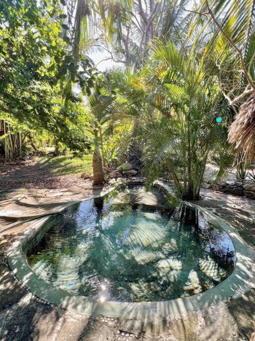 Casa Kuul, Elegant Fusion Of House And Garden. Villa Puerto Escondido  Exterior photo